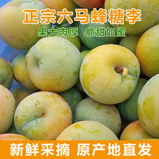 D弥你红蜂糖李 商品图2