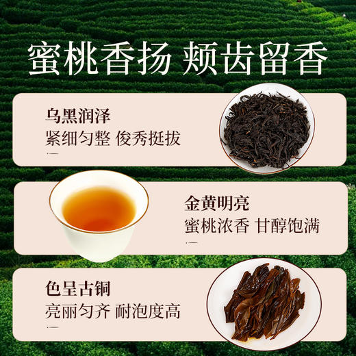 元正 桃源赤甘 武夷口粮小种蜜桃香气冷泡特级红茶茶叶罐装50g 商品图3