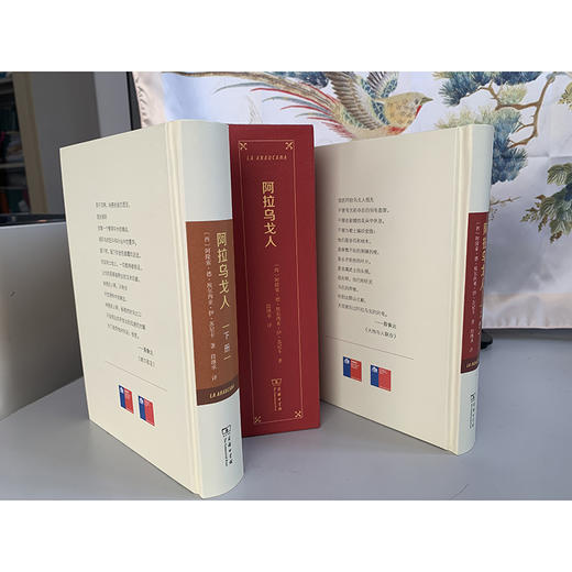 阿拉乌戈人(全两册) 商品图4
