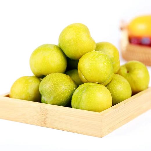 D镇宁蜂糖李 中果40-44mm 商品图1