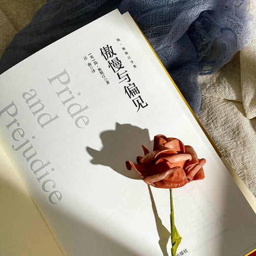 傲慢与偏见 商品图1