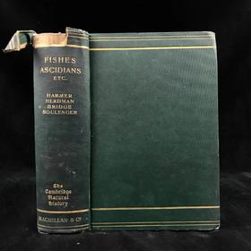 1904年 半索动物/海鞘与蛞蝓动物/鱼类图鉴 440幅插图 漆布精装大32开