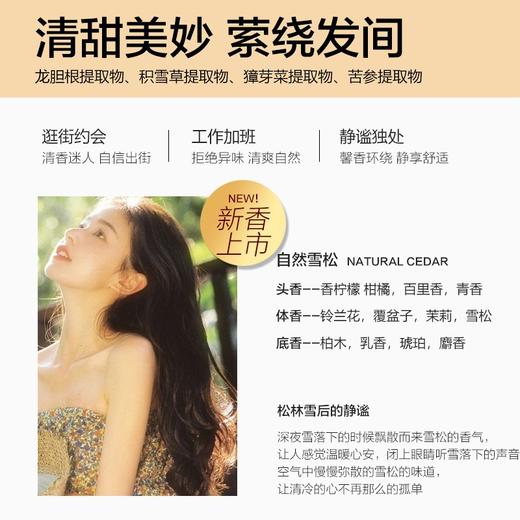 柏缇（POTE）北非雪松洗发露 475ml 商品图4