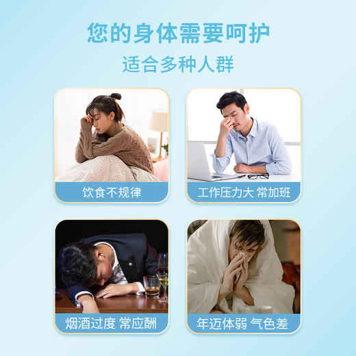 【铁皮石斛枫斗】色泽金黄 颗粒饱满 胶质浓郁 商品图4