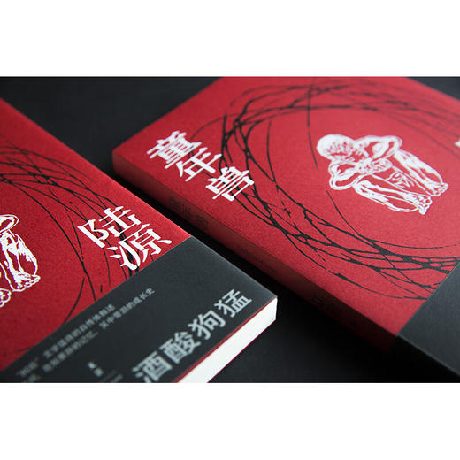 童年兽 陆源 著 社会小说 商品图1