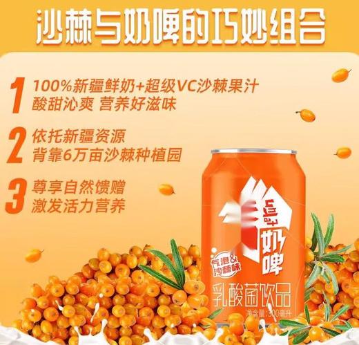 天润奶啤 12罐*300ml 蓝罐原味/沙棘橙罐双拼口味 新疆特产全国发货 商品图9