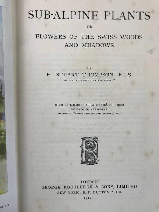 含彩色藏书票！1912年 亚高山植物图鉴 33页彩色插图 漆布精装32开 商品图4