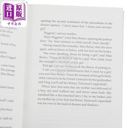 预售 【中商原版】海雀布纹经典 大卫 科波菲尔 David Copperfield 英文原版 Charles Dickens 世界经典名著 大师经典 商品图4