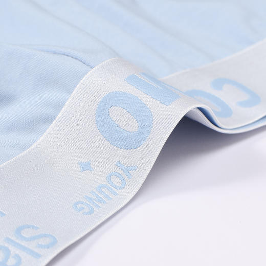 都市丽人都市锋尚内裤简约基础平角裤莫莱卡男士内裤FKTCF5 商品图4