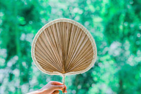 夏至艾灸|护阳、祛湿、驱寒！冬病夏治正当时