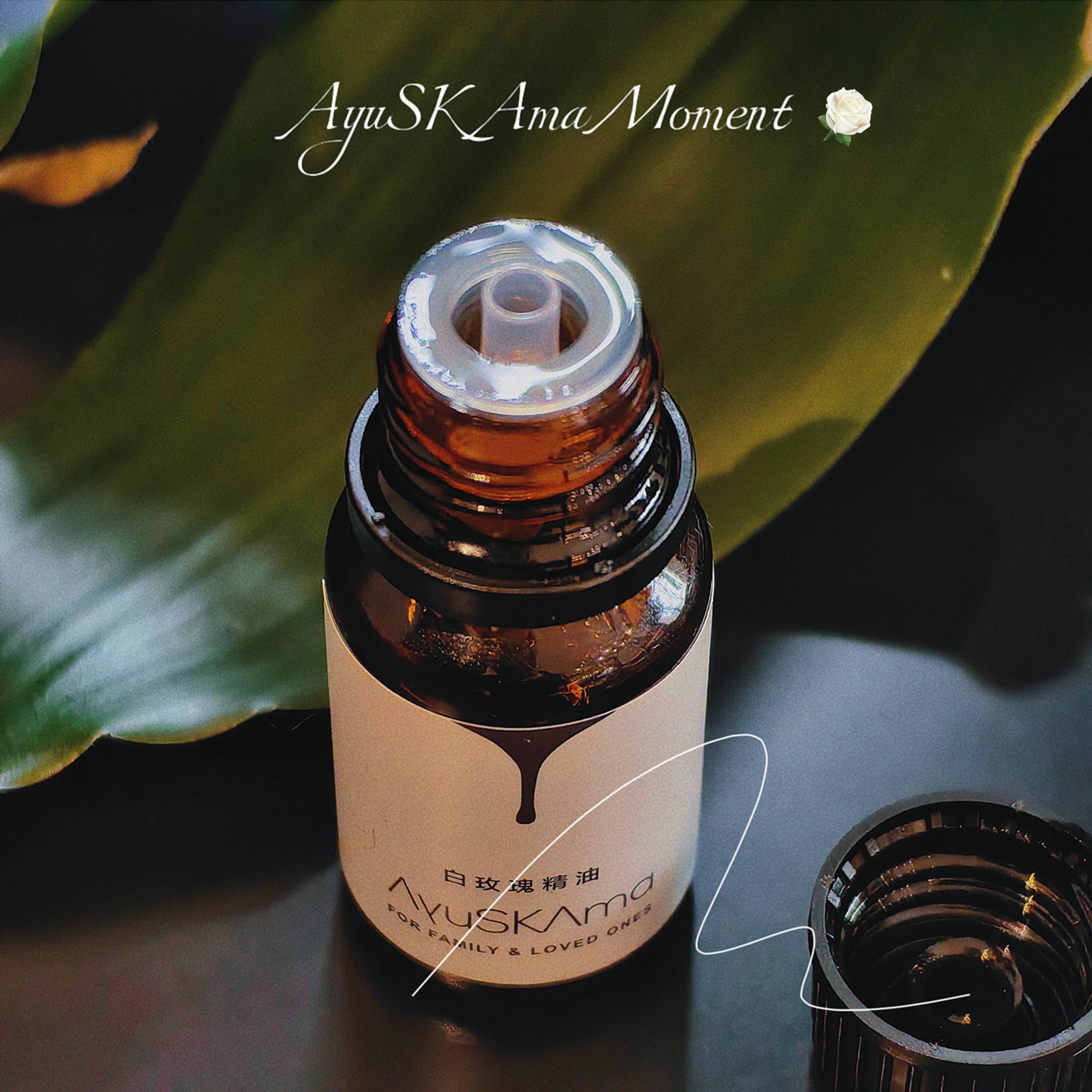 AyuSKAma 白玫瑰精油 5ml/10ml