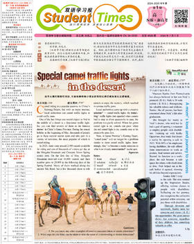 高中英语样报 高一 N版新高考 第1期