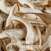 南食召 金福菇(白松茸) 商品缩略图2