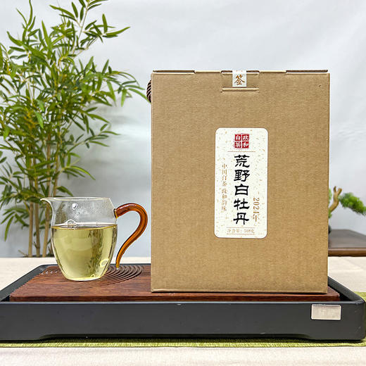 添寿茶业丨荒野白牡丹 政和白茶 2024年 一级 500g 手提礼盒装（配2袋样泡） 商品图2