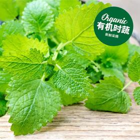 有机柠檬香蜂草  Organic Lemon balm 20g
