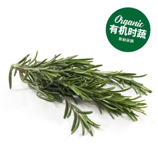 有机迷迭香  Organic Rosemary 20g 商品图0