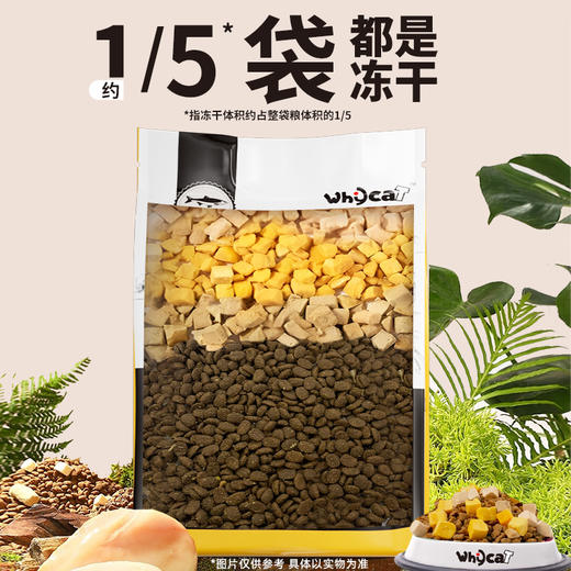 whycat猫粮50g试吃鸡肉鲜肉 商品图1