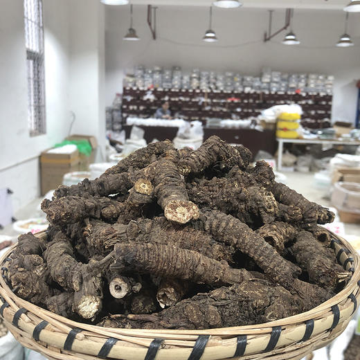 羌活 常用规格 川羌活切片  选装羌活 商品图1