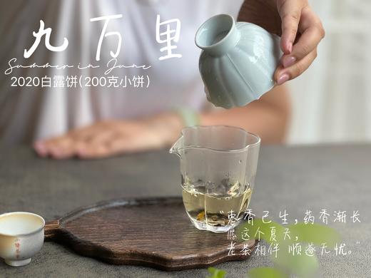 【老白茶开箱好礼】时隔3年，2020白露饼《小九万里》再次“荣”归，枣香浓郁、花蜜香、粽叶香！ 商品图13