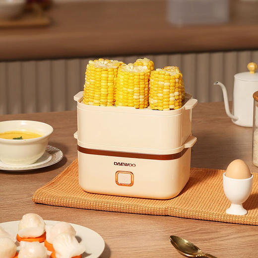 大宇（DAEWOO） 家用煮蛋器小容量多功能蒸蛋蒸包小蒸锅DYZD-150 DYZD-150 双层 商品图3