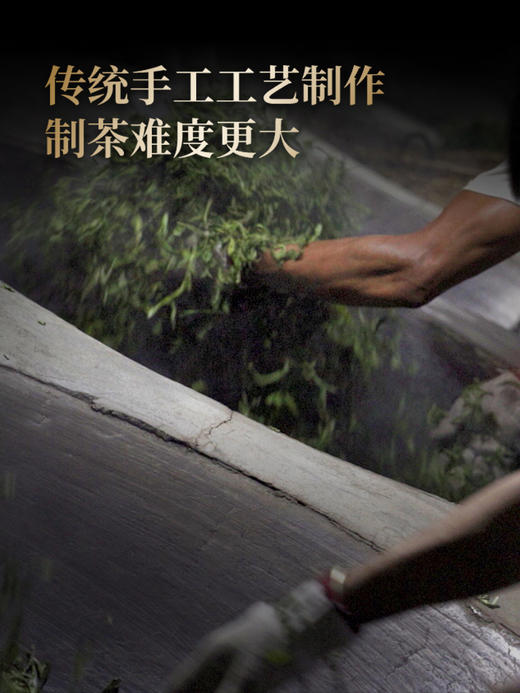 【王侯将相—冠军侯：霍去病】约8900一芽一叶成就一片茶饼 比茶王地单株更奢侈豪华！357克/饼茶，一箱内含6饼茶 拍5箱发6箱 商品图2