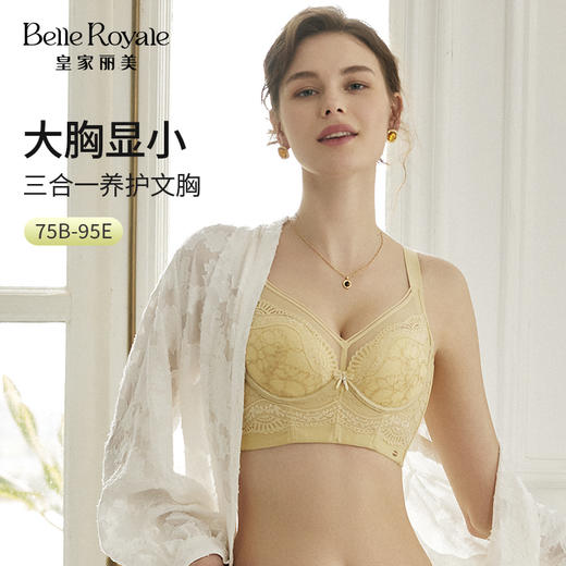 皇家丽美新款调整型文胸大胸显小薄杯记忆软钛圈加宽下扒位香榭之恋系列WJ2309-1 商品图0
