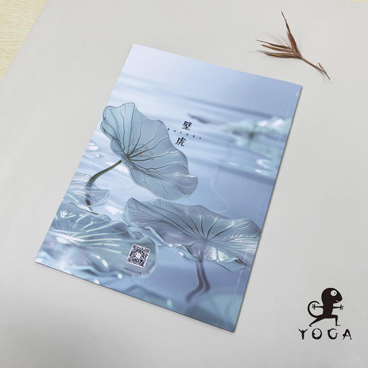 壁虎画册 商品图5