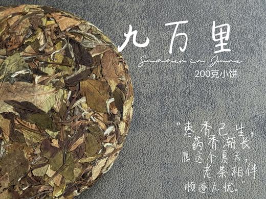 【老白茶开箱好礼】时隔3年，2020白露饼《小九万里》再次“荣”归，枣香浓郁、花蜜香、粽叶香！ 商品图0