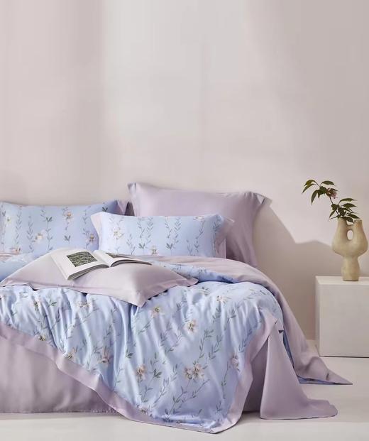 【梦兰厅】B座7F|莱赛尔印花四件套 商品图1