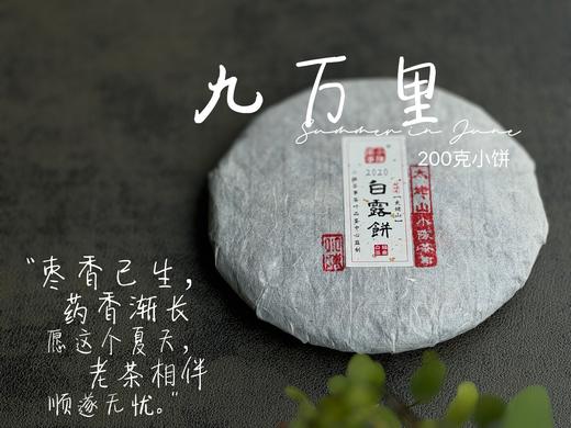 【老白茶开箱好礼】时隔3年，2020白露饼《小九万里》再次“荣”归，枣香浓郁、花蜜香、粽叶香！ 商品图0
