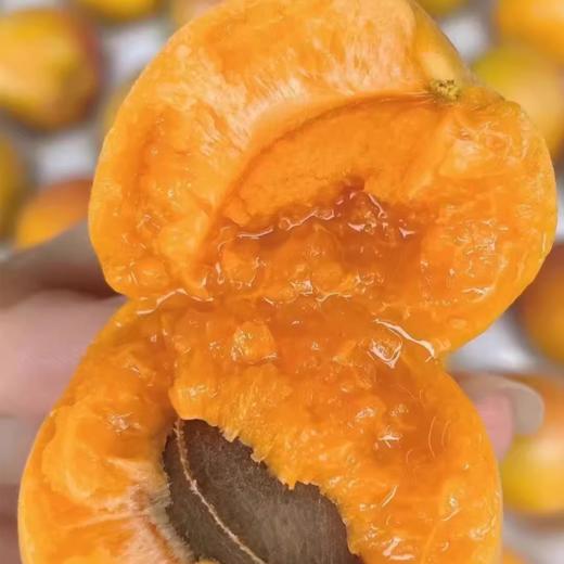 新疆吊干杏 | 水果 商品图2