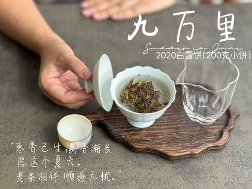 【老白茶开箱好礼】时隔3年，2020白露饼《小九万里》再次“荣”归，枣香浓郁、花蜜香、粽叶香！ 商品图11