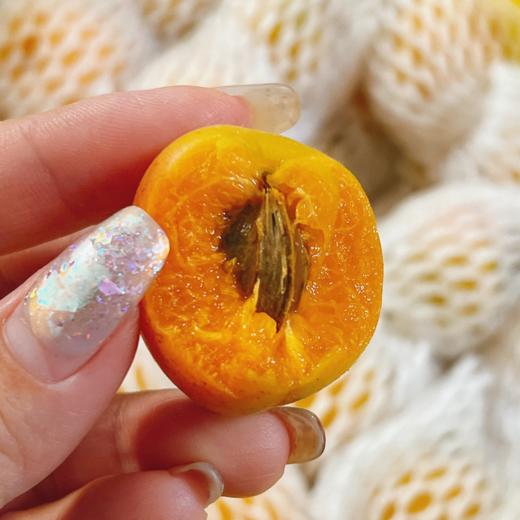 新疆吊干杏 | 水果 商品图1