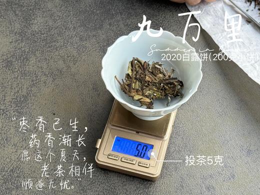 【老白茶开箱好礼】时隔3年，2020白露饼《小九万里》再次“荣”归，枣香浓郁、花蜜香、粽叶香！ 商品图8