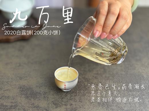 【老白茶开箱好礼】时隔3年，2020白露饼《小九万里》再次“荣”归，枣香浓郁、花蜜香、粽叶香！ 商品图14