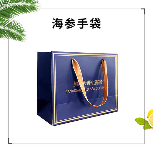 海参手提袋【单独拍不发货】 商品图0