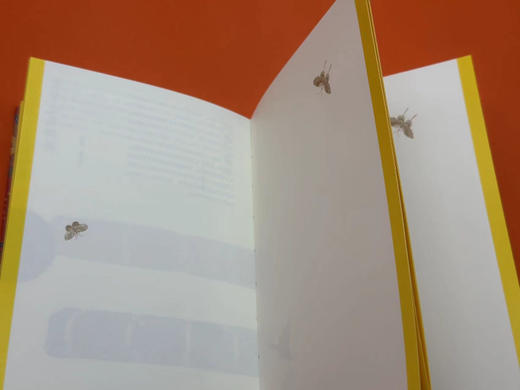 嘉德文创 | “国采与宫色——清代宫廷织绣服饰色彩展”导览手册 商品图13