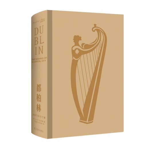 （读城系列）都柏林：沧桑与活力之城 爱尔兰历史文化生活旅游艺术丛书深刻的城市传记附历史珍贵插图（爱）大卫·迪克森 著 商品图2