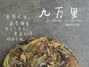 【老白茶开箱好礼】时隔3年，2020白露饼《小九万里》再次“荣”归，枣香浓郁、花蜜香、粽叶香！ 商品缩略图4