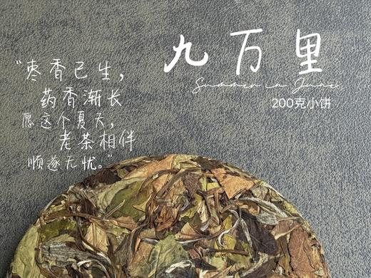 【老白茶开箱好礼】时隔3年，2020白露饼《小九万里》再次“荣”归，枣香浓郁、花蜜香、粽叶香！ 商品图4