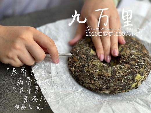 【老白茶开箱好礼】时隔3年，2020白露饼《小九万里》再次“荣”归，枣香浓郁、花蜜香、粽叶香！ 商品图6