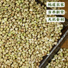 【食品】荞麦米当年新货甜荞米杂粮500克*2包 商品缩略图1