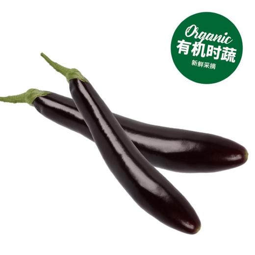 有机紫长茄  Organic Purple Eggplant 350g 商品图0