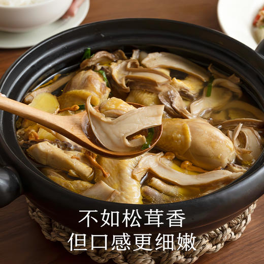 南食召 金福菇(白松茸) 商品图1