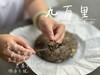 【老白茶开箱好礼】时隔3年，2020白露饼《小九万里》再次“荣”归，枣香浓郁、花蜜香、粽叶香！ 商品缩略图7