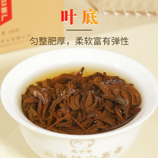 凤宁号金奖红茶【有机金毫】100克/盒 商品图7