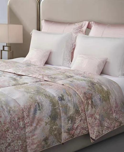 【罗卡芙厅】B7F 罗卡芙 / 惠谊进口可水洗鹅绒夏被春风浅浅  /  95%含绒量 商品图0