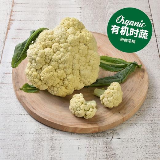 有机白花菜 Organic Cauliflower 450g 商品图1
