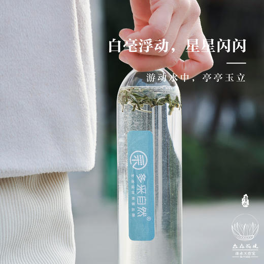 淼森花境 I 2022年福鼎白茶白毫银针携带方便冷泡白茶 商品图3