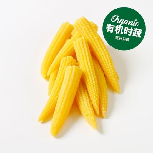 有机玉米笋(拇指小玉米)  Organic Baby Corn 400g/袋 商品图0